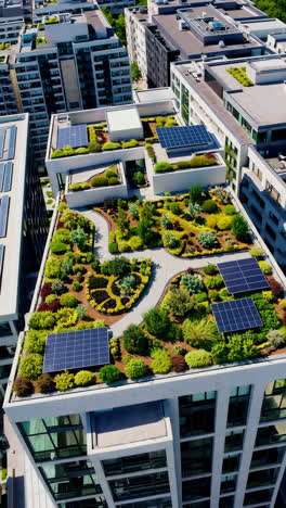 sustainable urban rooftop gardens with solar panels