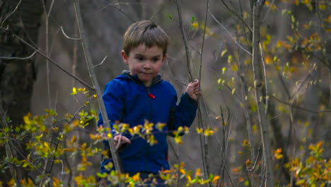 toddler boy exploring the forest