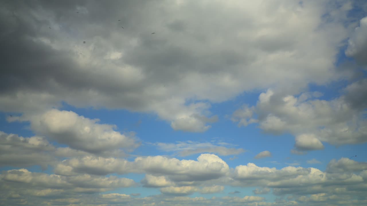 nubes mullidas pasando con manchas de cielo azul en un día de verano