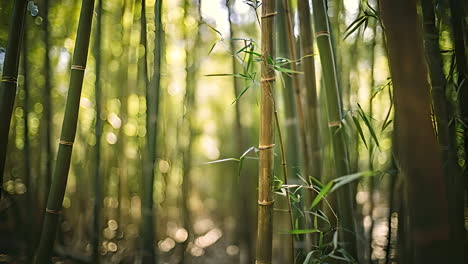 a majestic bamboo tree standing tall in the heart of the forest