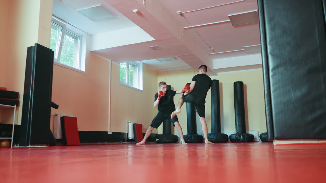 Two boxers sparring in martial arts gym preparing to fight with gloves on red mat floor surrounded by punching bags under daylight from windows during training session focusing on combat discipline