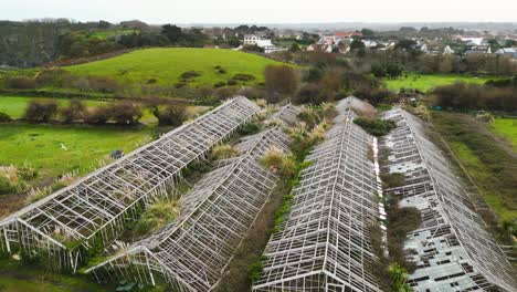 Flug-über-Alte,-Verlassene-Gewächshäuser-In-Guernsey-Hinüber-Zu-Grünen-Feldern-Mit-Häusern-Im-Hintergrund,-Langsamer-Flug,-Der-Verfall-Zeigt