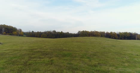 Volando-Sobre-Bosque-Bosque-Desde-Arriba-22