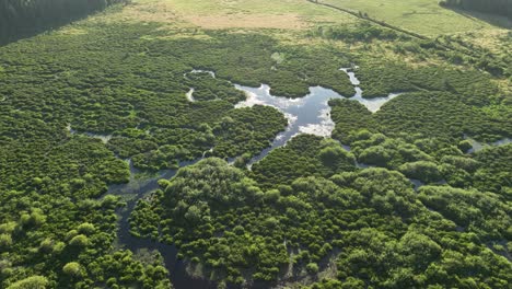 Drone-shot-of-Breakfast-Creek-spreading-out-into-marshland-in-Spirit-Lake,-Idaho