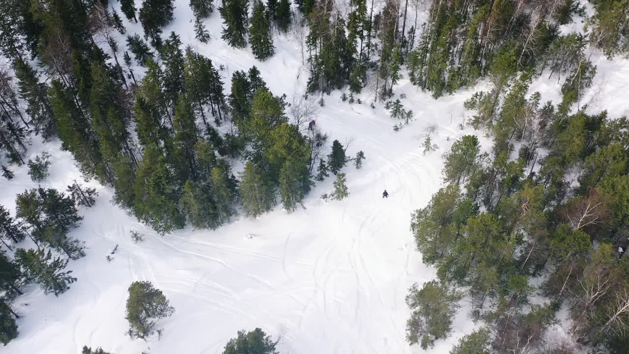 Vista aerea di una foresta innevata con sciatori e motoslitte