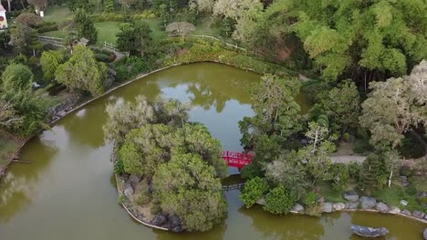 Draufsicht-Auf-Kleine-Teiche-Und-Bäume,-Die-Sich-Im-Wasser-Des-Botanischen-Gartens-Spiegeln