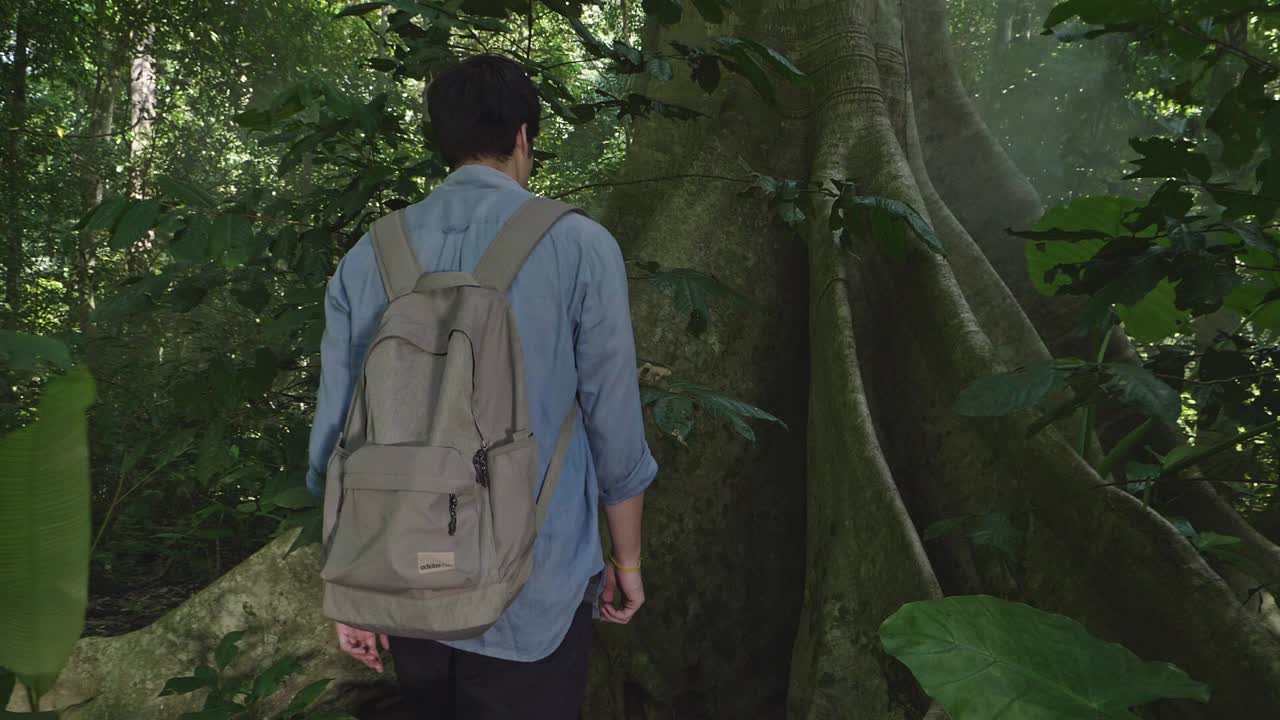 Man With Big Tree, Slow Motion