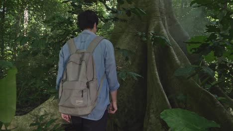 man with big tree, slow motion