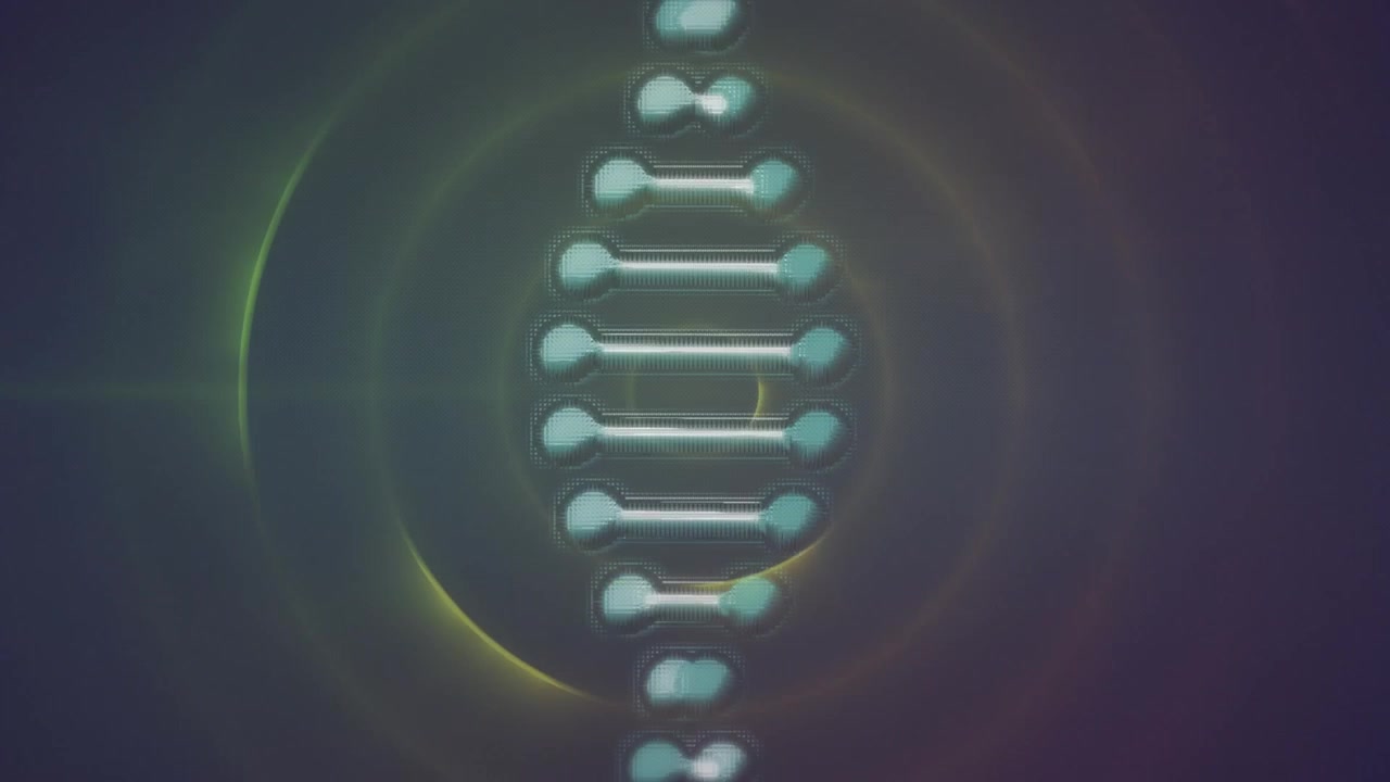 Animazione di un filamento di DNA ed elaborazione dati su cerchi.