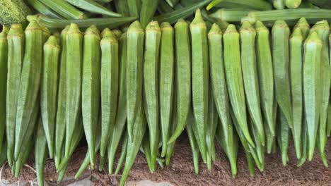 tracking shot of lady's finger or okra or bhindi for sale at the farmers or sabzi mandi market