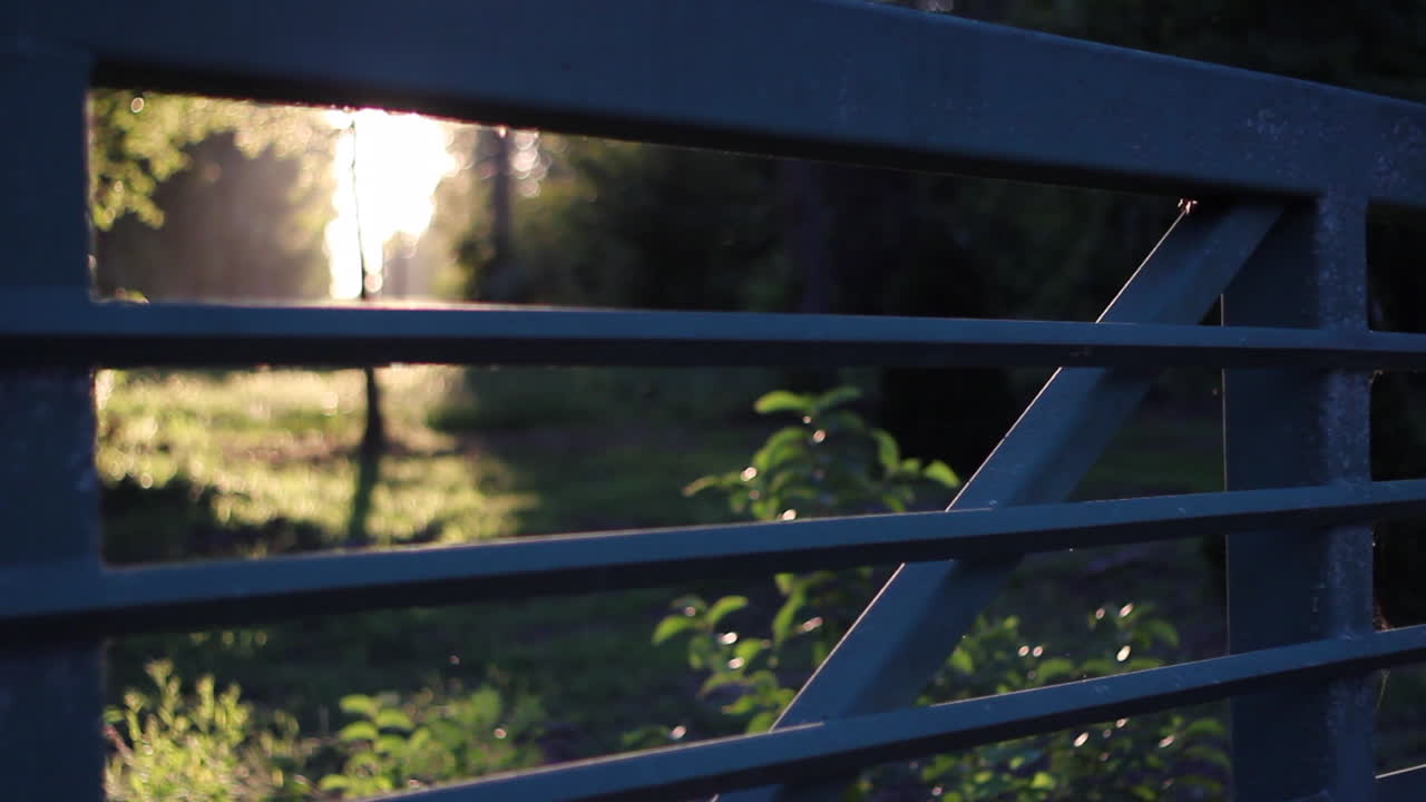 puesta de sol de verano en un prado con valla en primer plano