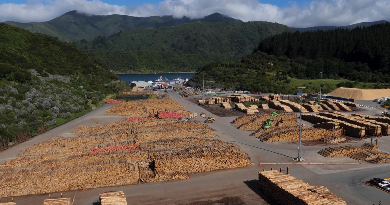 Luftaufnahme des Waimahara Holzpiers in der Shakespeare Bay, Picton, Neuseeland.