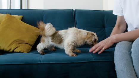 Woman-and-dog-at-home