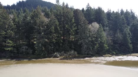 Aerial-View-of-forest-and-beach