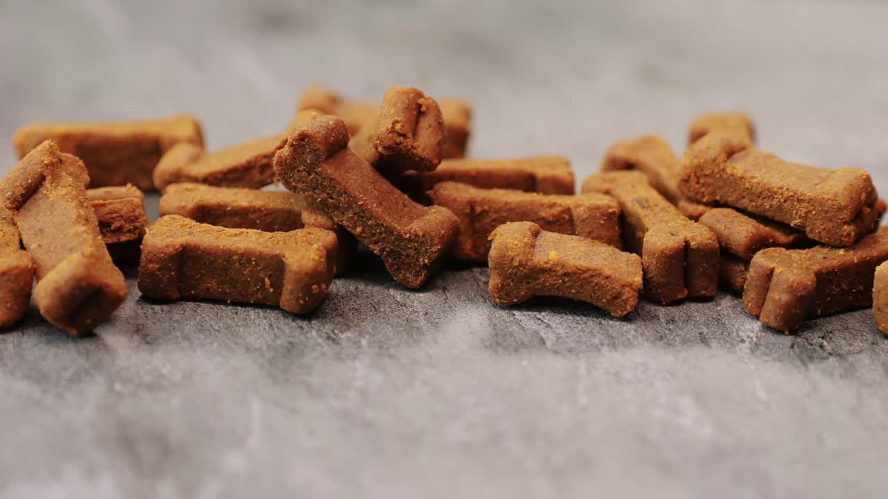 Food treats for dog . Dogs dainty on grey background close-up macro. Animals concept. Pets friends