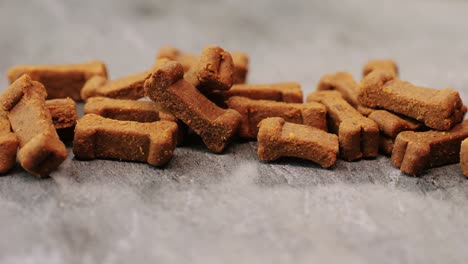 food treats for dog . dogs dainty on grey background close-up macro. animals concept. pets friends