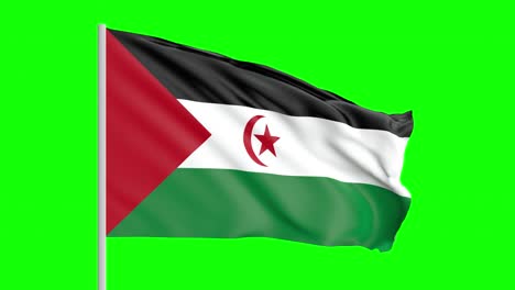 national flag of western sahara waving in the wind on green screen with alpha matte