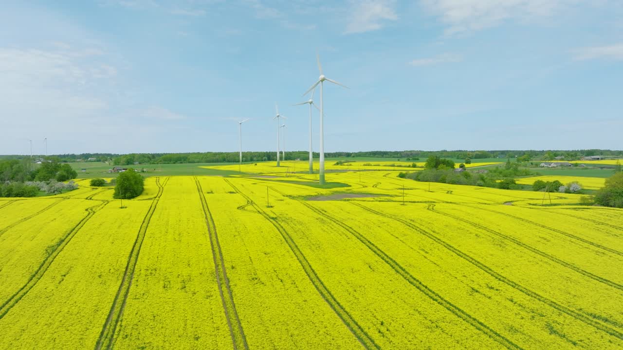 풍력 발전소에서 재생 가능한 에너지를 생산하는 풍력 터빈의 항공 설정 뷰, 꽃 피는 노란색  ⁇ 씨  ⁇ , 시골 풍경,  ⁇ 은 봄 날, 올라오는 드론  ⁇ 이 앞으로 이동