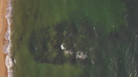 Drone-aerial-top-down-view-of-waves,-sea,-ocean-at-St-Kilda-beach,-cam-moving-right-to-left,-Australia-Melbourne