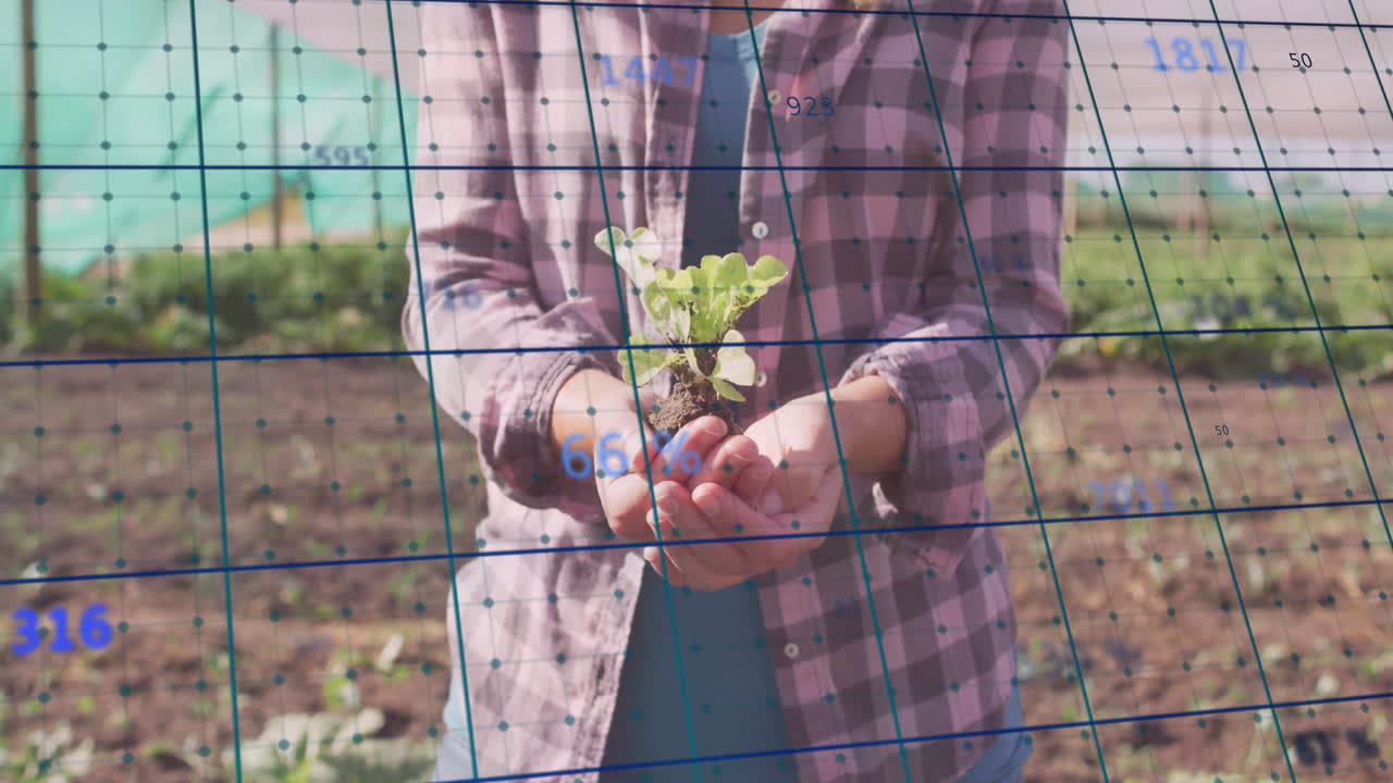 woman farmer holding small seedling in field, integrating farm tech grid displaying 65% soil data