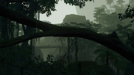 Deep-tropical-jungle-in-darkness