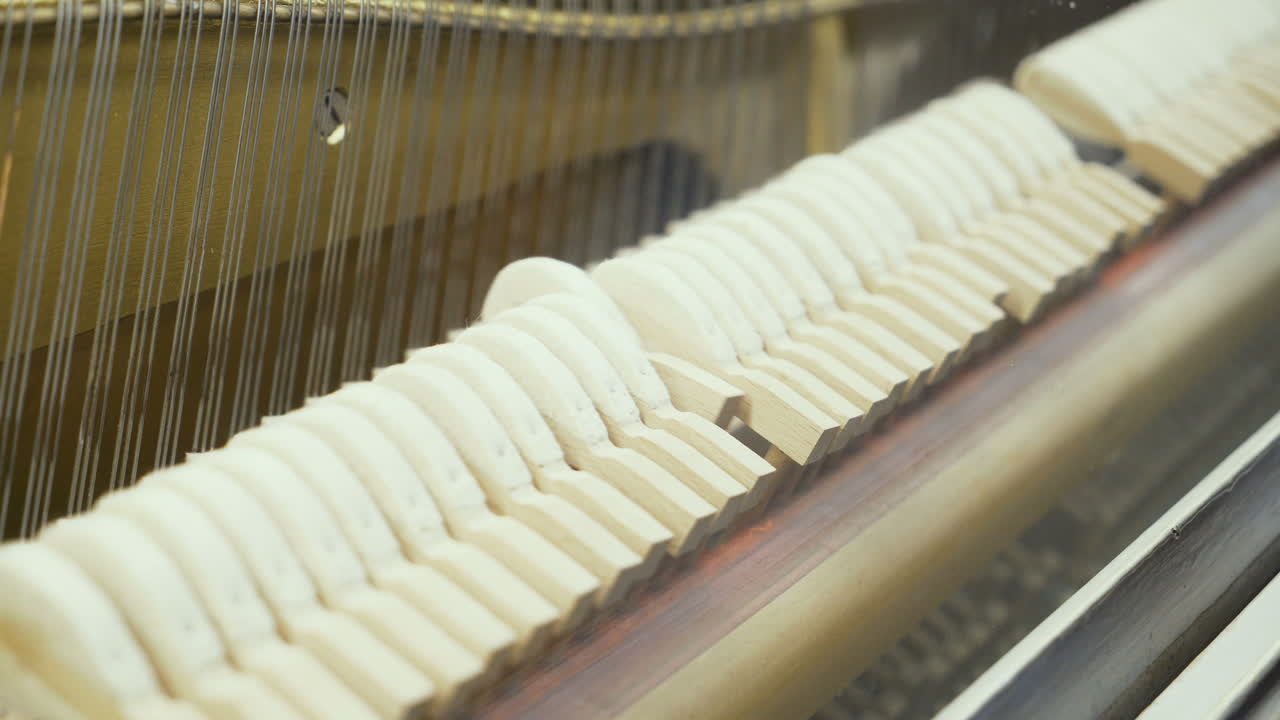 Piano. Principles of the work of musical instruments.