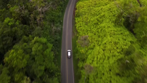 suv car driving fast through the forest