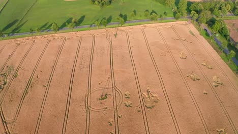 flight over the wheat field at sunset