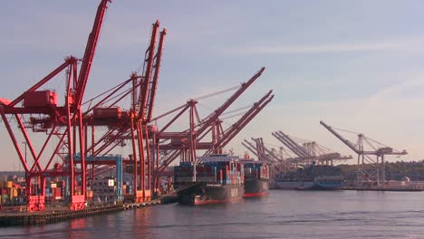 the city of seattle harbor and port