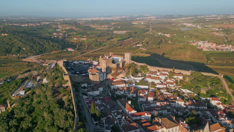 aerial town historic castle in countryside. village surrounded by green fields