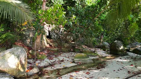 Tropisches-Paradies-Abgeschieden-Ruhig,-Sandstrand-Neben-üppigen-Wald-Klares-Blaues-Wasser