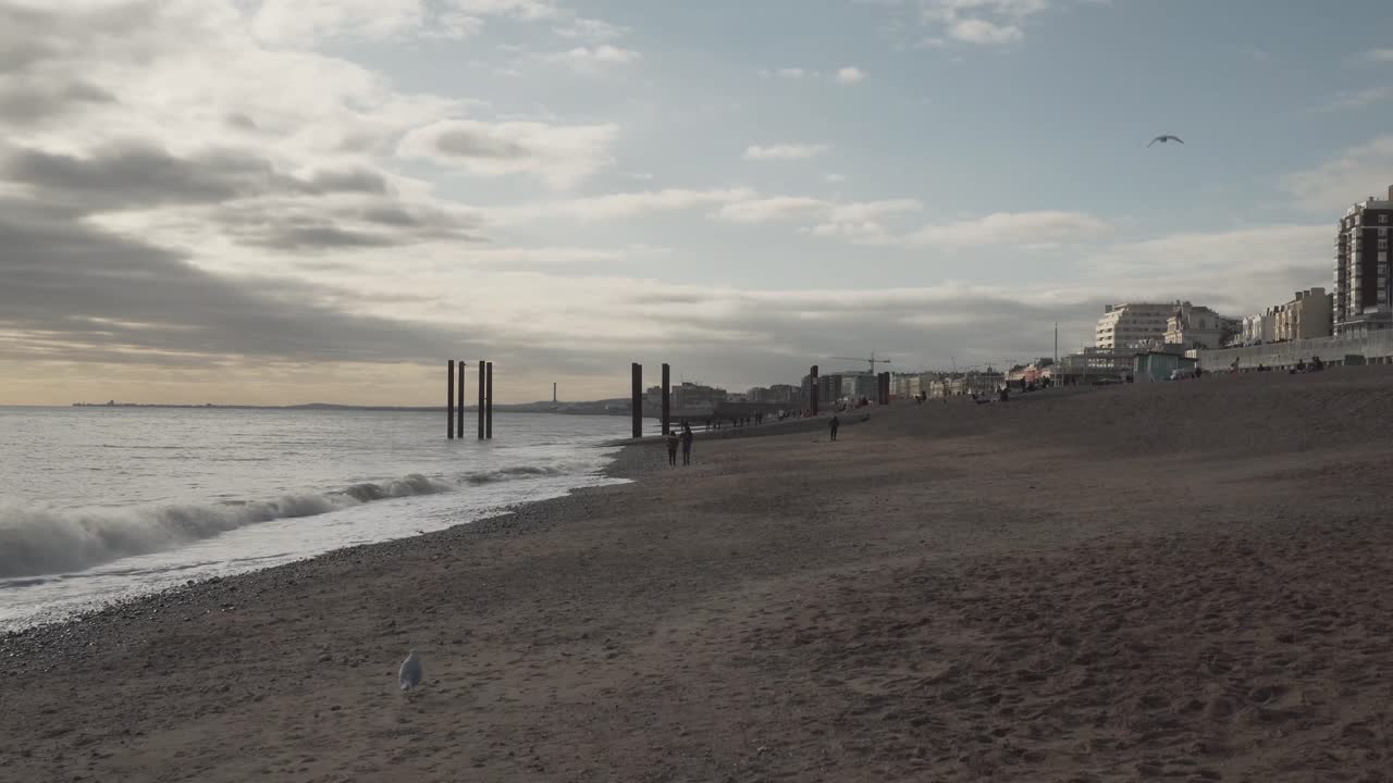 beautiful vew of brighton city beach in england uk. seagull flying