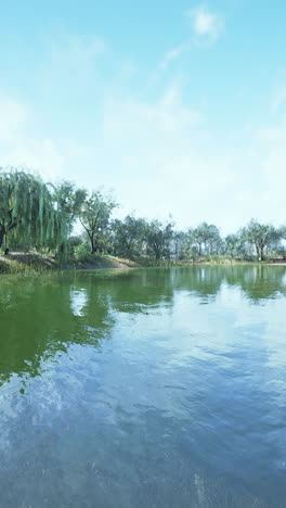 serene lakeside scene