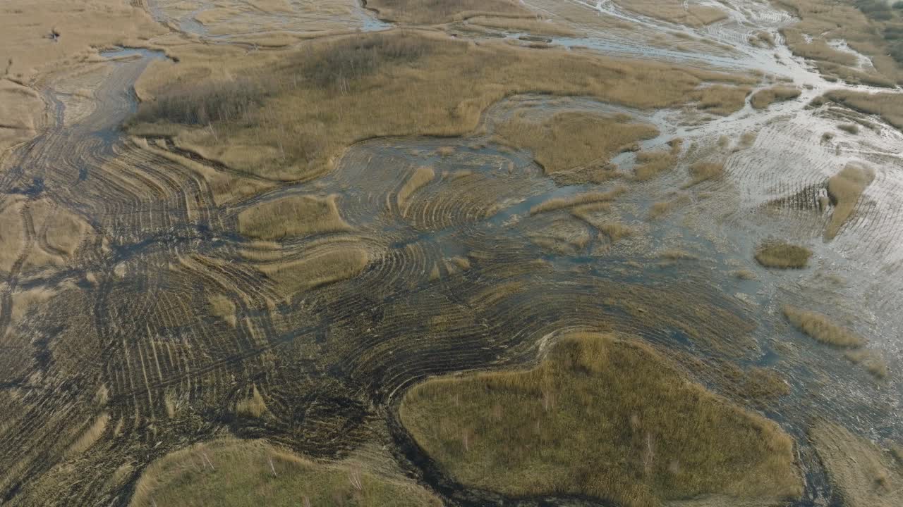 vista aérea del lago cubierta de cañas secas, parque natural del lago pape, día soleado de primavera, reflejos en la superficie del agua, disparo de avión no tripulado de ojo de pájaro moviéndose hacia adelante