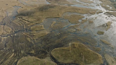 Aerial-establishing-view-of-the-lake-overgrown-with-dry-reeds,-lake-Pape-nature-park-,-sunny-spring-day,-reflections-on-the-water-surface,-birdseye-drone-shot-moving-forward