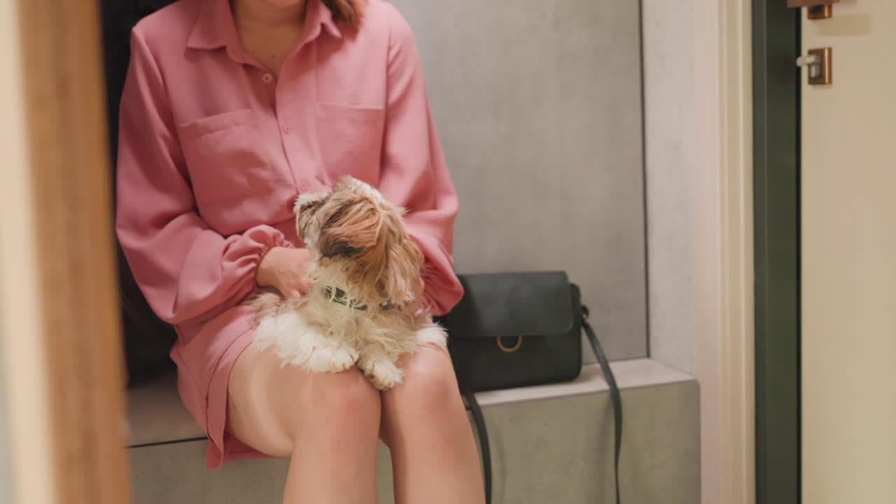Elegant Shopping Moment, Chic Boutique Scene With Woman, Intimate Retail Space Featuring Woman And Pet, Peaceful Boutique Setting Showcasing Woman In Pink With Her Puppy And Stylish Items