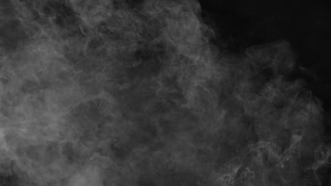 ethereal white fog or smoke gently rises and drifts across a pure black background. atmospheric overlay for mystery mood or visual effects