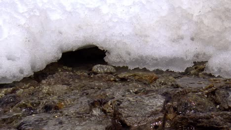 Melt-water-that-runs-out-from-under-the-snow