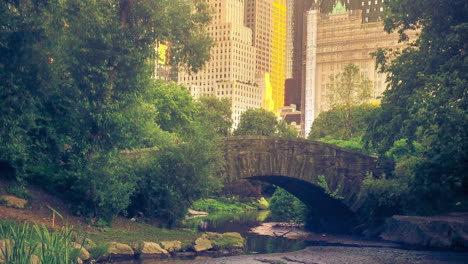 view from the surreal nature of central park's lakes and ponds, to the tall skyscrapers a short distance away