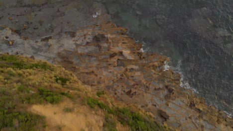 Una-Toma-Aérea-A-Vista-De-Pájaro-De-Los-Arbustos-En-La-Cima-De-Un-Acantilado-Y-Luego-Las-Rocas-ásperas-A-Lo-Largo-Del-Océano-En-La-Costa-Victoriana