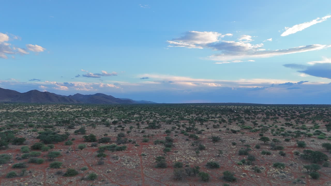 vista aérea del paisaje del bosque del sur de kalahari, montañas en el fondo