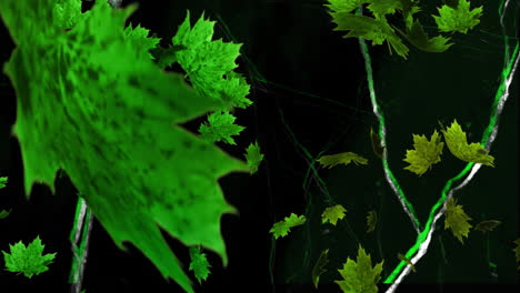 animation of green leaves over moving lines on black background