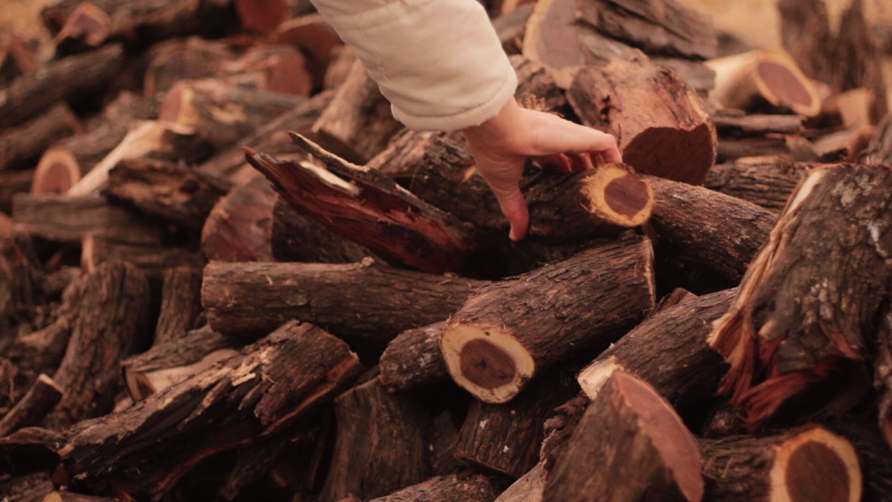 Female picking logs from wood supply stock pile in seasonal autumn rural scene dolly left