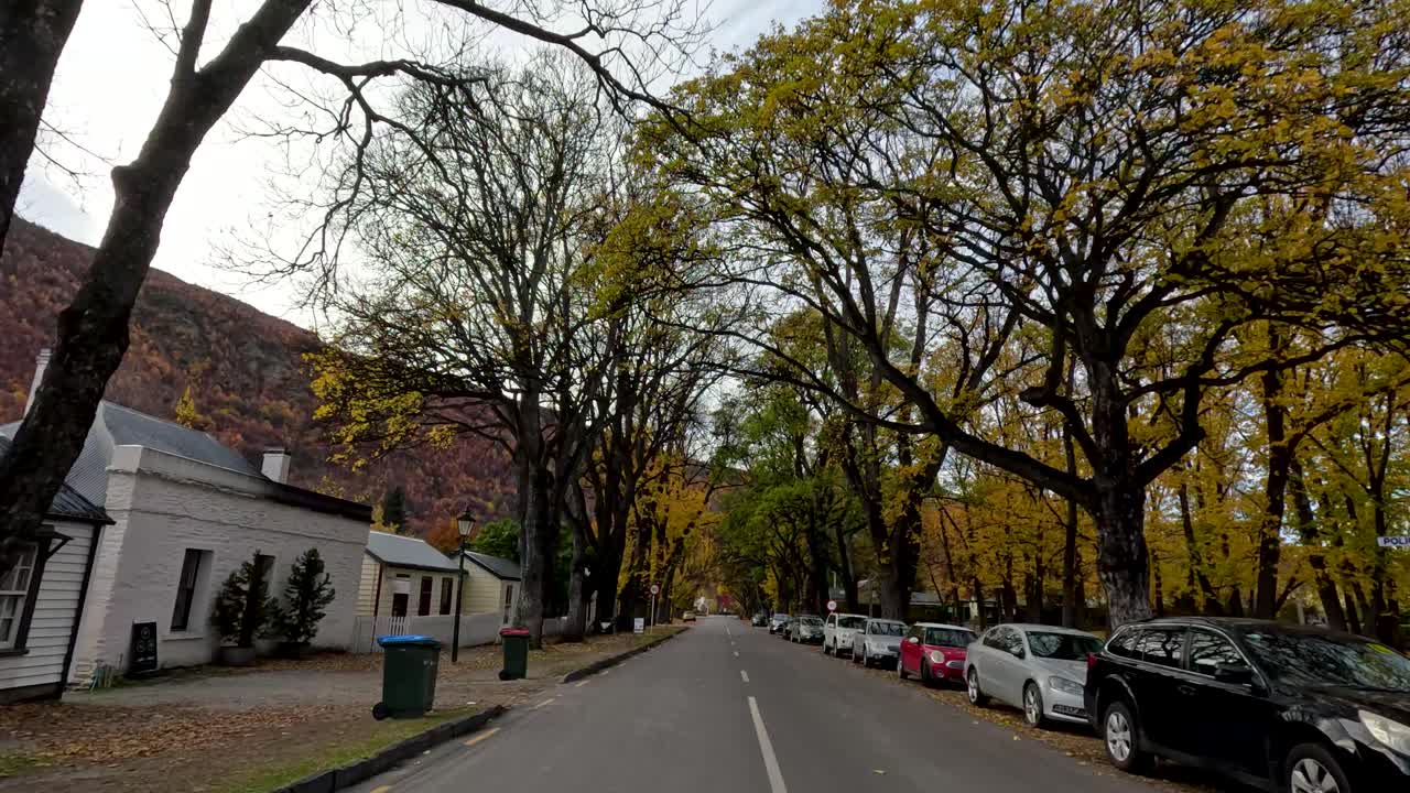 A serene drive through Arrowtown's tree-lined streets in autumn, showcasing vibrant foliage and quaint houses under soft daylight