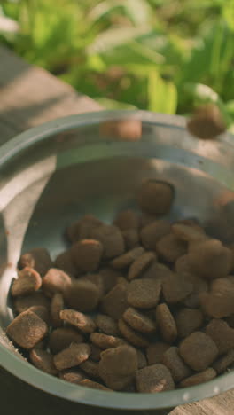 el alimento para perros se vierte en un cuenco de metal al aire libre en una tabla de madera mientras algunos se derraman en la hierba. el insecto vuela fuera de la taza, otro cuenco metálico vacío descansa cerca