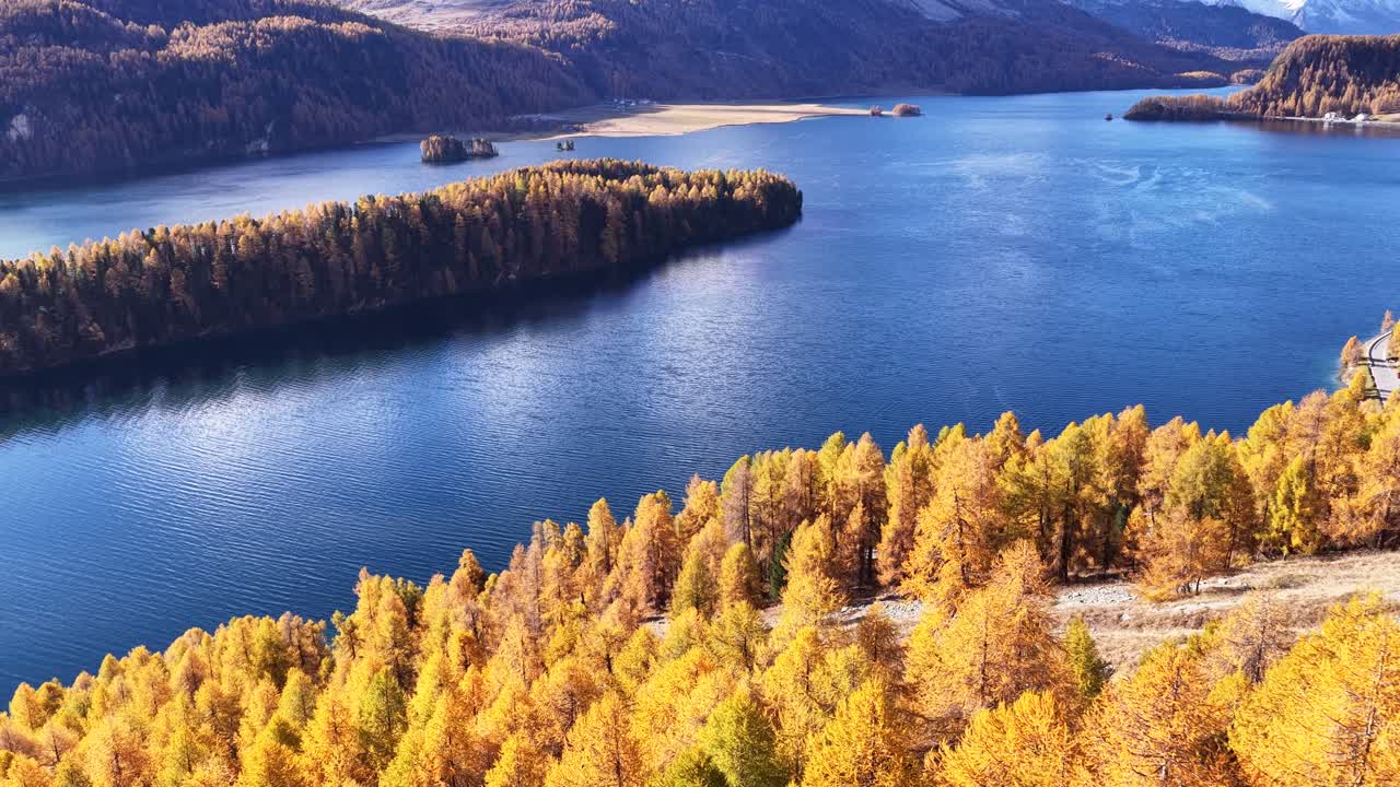 A vast aerial panorama of Lake Silvaplana in the Upper Engadin, Switzerland. Deep blue lake water contrasts with a large golden larch peninsula and a background of massive, snow-capped mountains