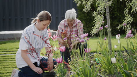 two women plant flowers in the garden, decorate the backyard of the house