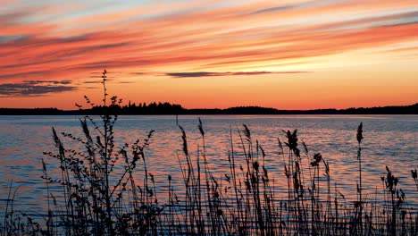 Puesta-De-Sol-Carmesí-En-El-Fondo-Del-Golfo-De-Botnia