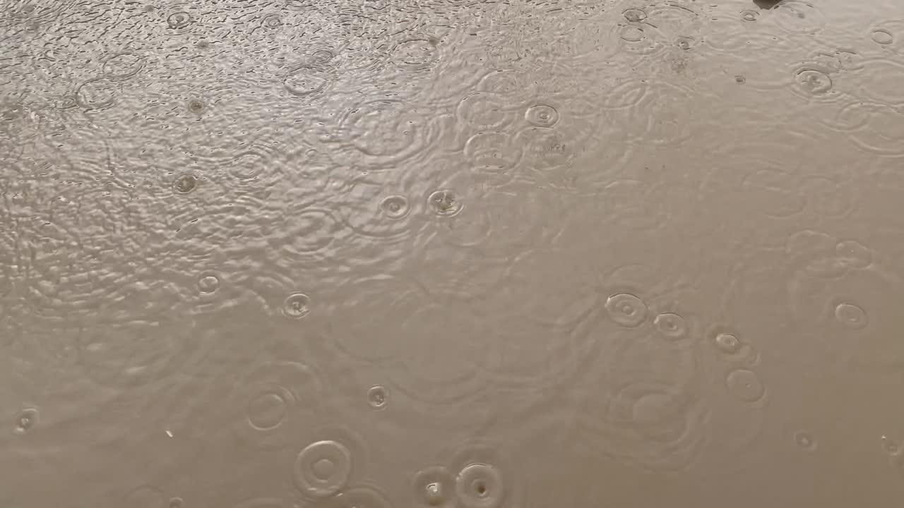 lluvia de otoño. primer plano de una gota en un gran charco sucio. temporada de otoño de fuertes lluvias. asfalto húmedo en las calles de la ciudad. la carretera está borrosa por las fuertes lluvia. fuera de carretera en mal tiempo. caminos fangosos.
