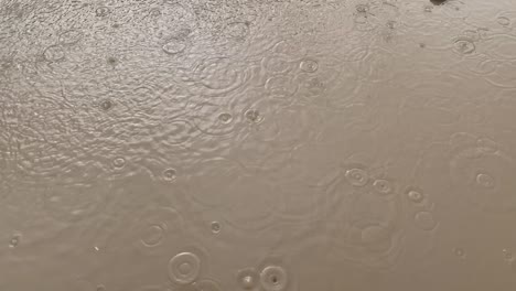 autumn rain. close-up of a drop in big dirty puddle. season autumn of heavy rains. wet asphalt on city streets. road is blurred by heavy rains. off-road in bad weather. muddy roads.
